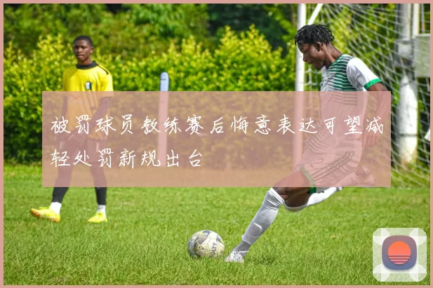 被罚球员教练赛后悔意表达可望减轻处罚新规出台